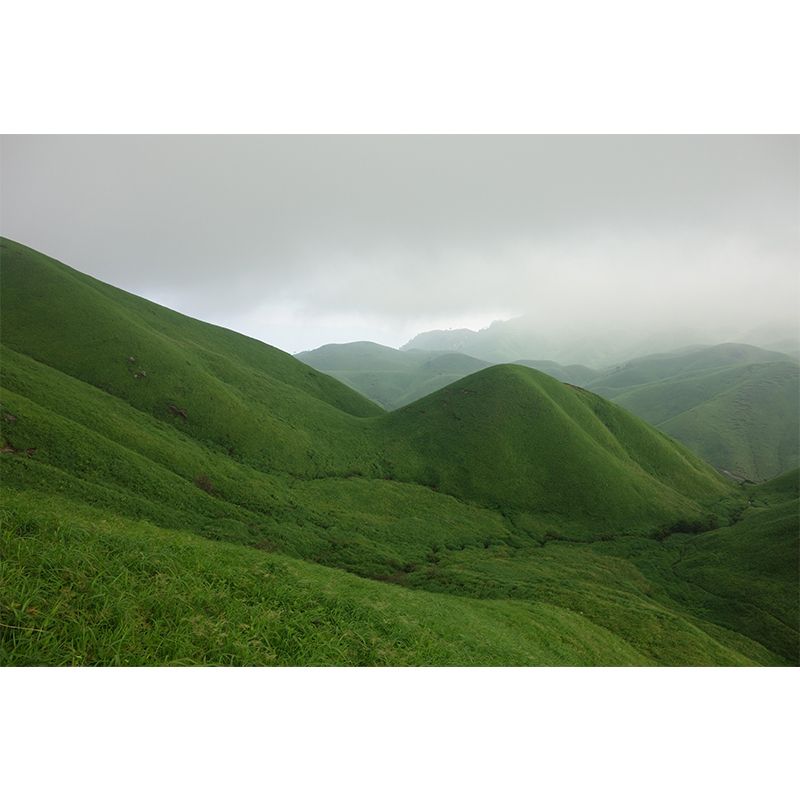 Mountain View Wall Mural Wallpaper Modern Style Mildew Resistant for Dining Room