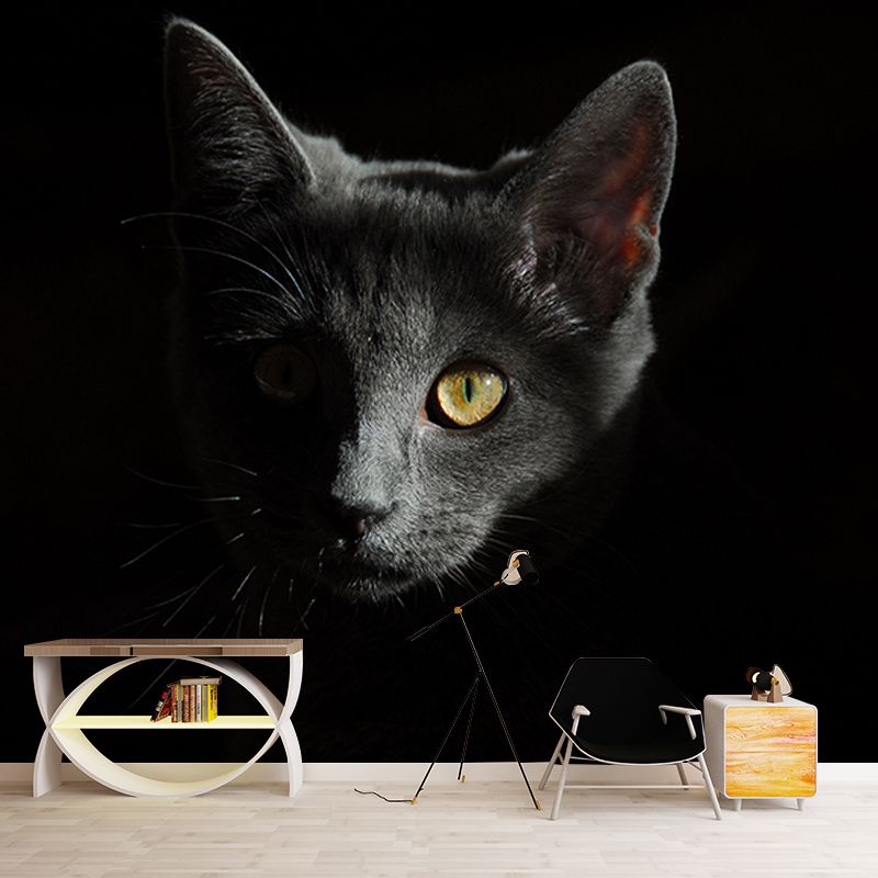 Photography Stain Resistant Mural Wallpaper Cute Cats Indoor Wall Mural