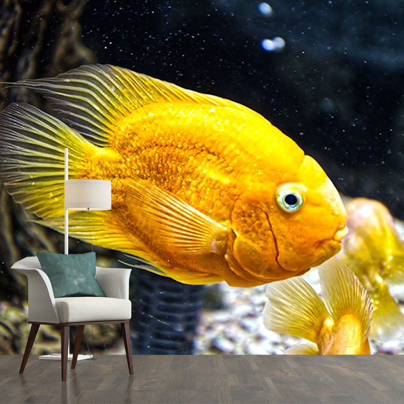 Underwater World Mural Wallpaper Photography Style for Guest Room Home Decor