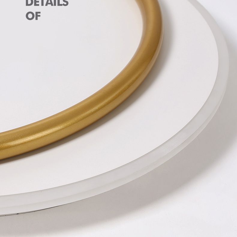 Nordic Minimalist Circles LED Plafondlamp Metal+Acryl Ring Creatief Ontwerp Verlichting Fixture in Goud