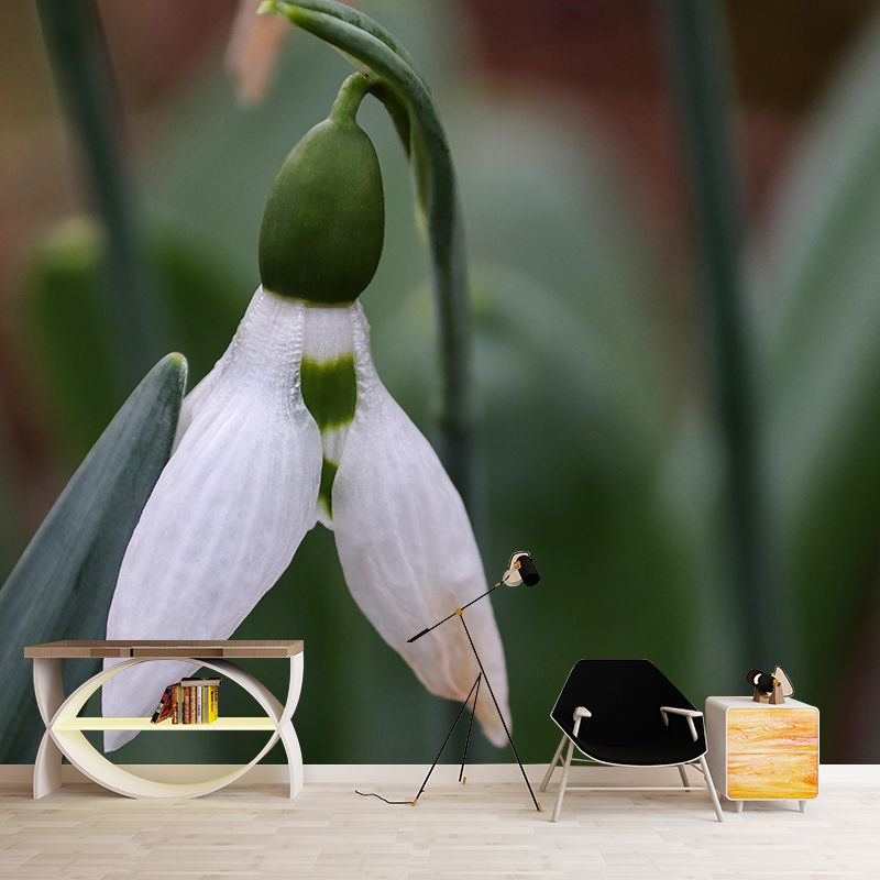 Modern Snowdrop Mural Wallpaper Stain Resistant Wall Covering for Living Room