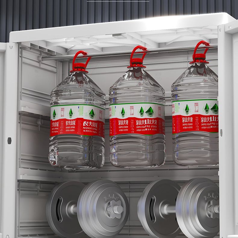 Modern Plastic Storage Cabinet for Bedroom Matte Finish Cabinet with Hinged Door