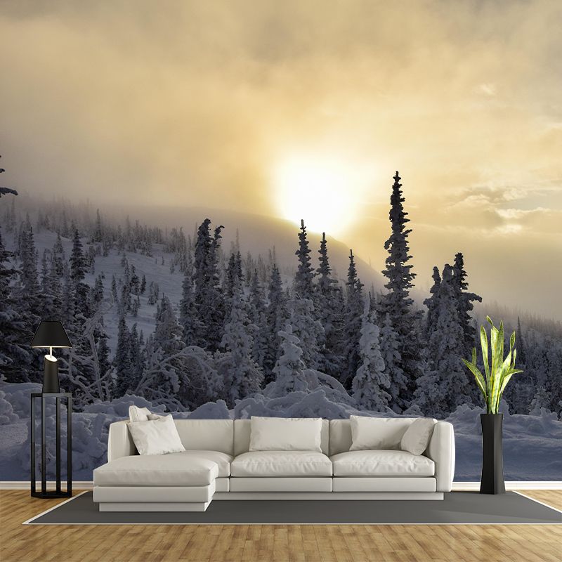 Contemporary Photography Style Forest Mural Wallpaper Mildew Resistant Wall Art