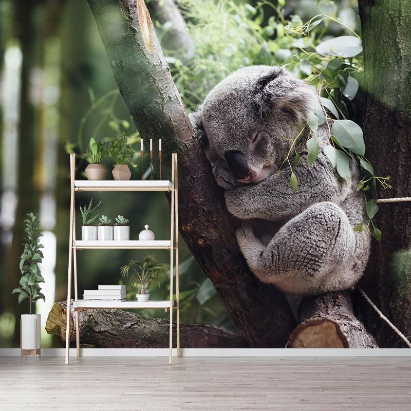 Modern Cute Koala Mural Wall Decor Mildew Resistant Living Room Wall Mural for Wall Decor
