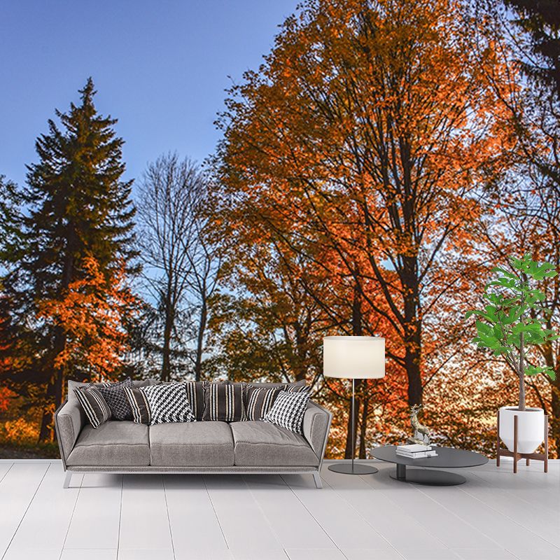 Autumn Forest Style Forest Mural Horizontal Photography Sleeping Room Wall Mural