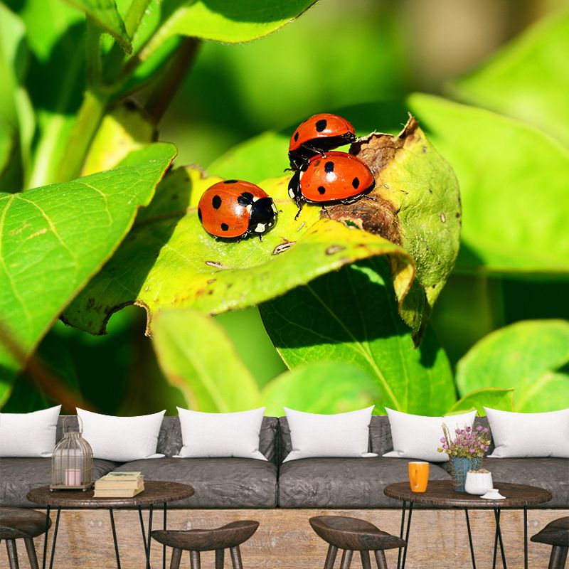 Little Ladybug Mural Wallpaper Moisture Resistant for Living Room Bedroom