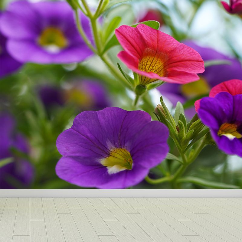 Contemporary Morning Glory Wall Mural Moisture Decorative Eco-friendly for Home Decor