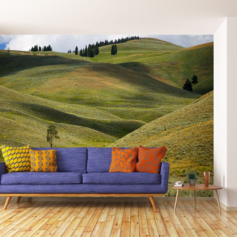 Photography Pattern Mildew Wall Mural Grassland for Living Room