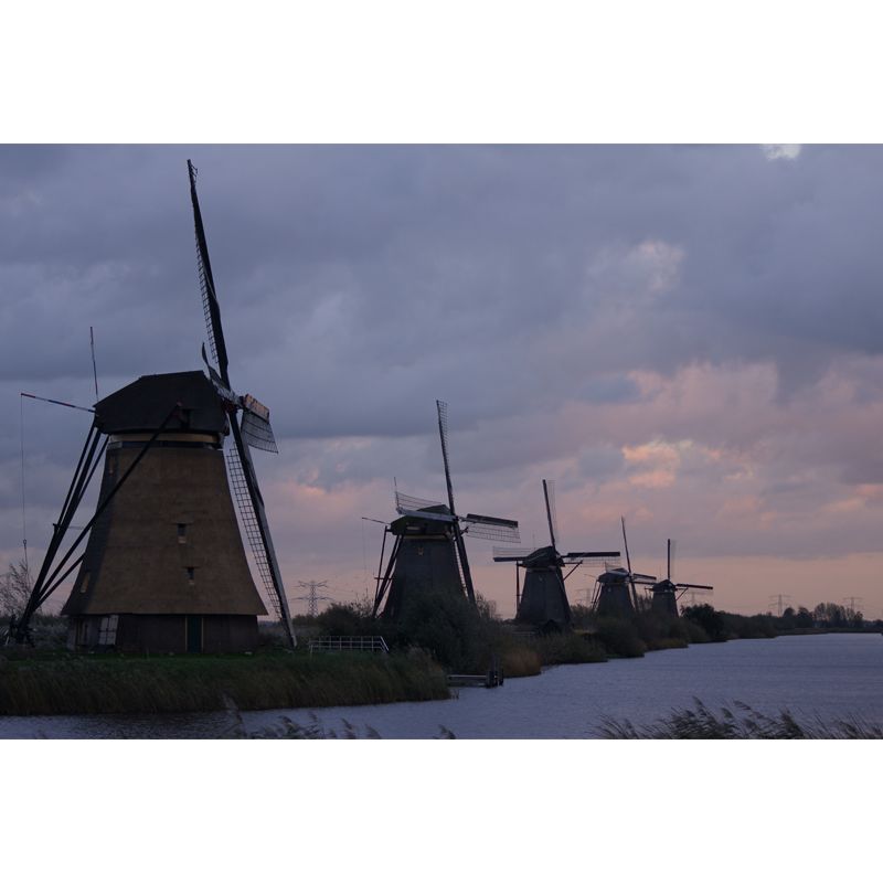 Rotating Windmill Mural Wallpaper for Dining Room Summer Wall Decor, Custom Printed