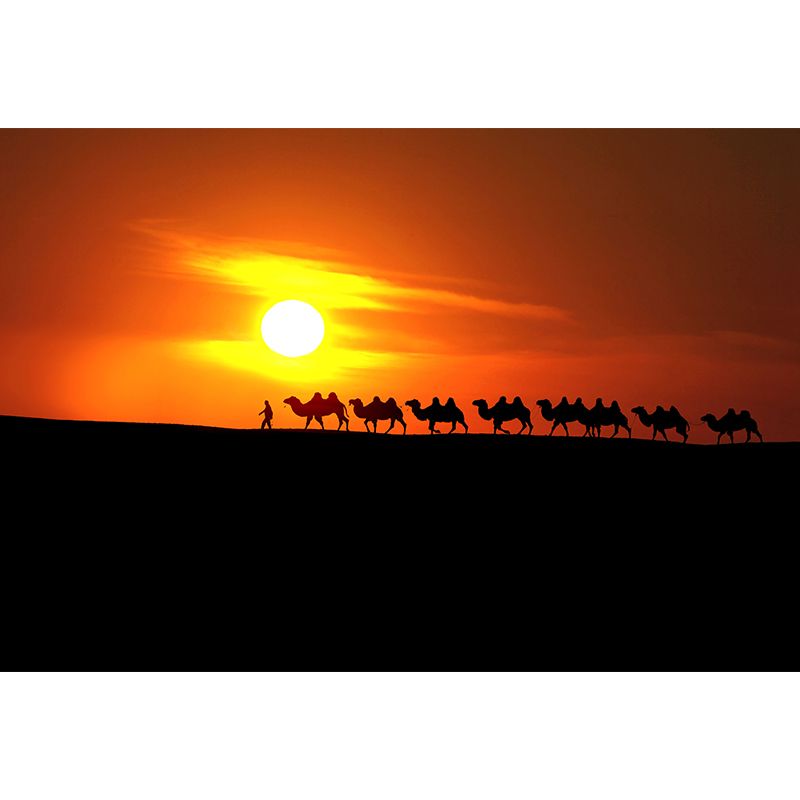Donkere kleur moderne muurschildering hele woestijnlandschap met kameel bij zonsondergang muur decor voor thuis