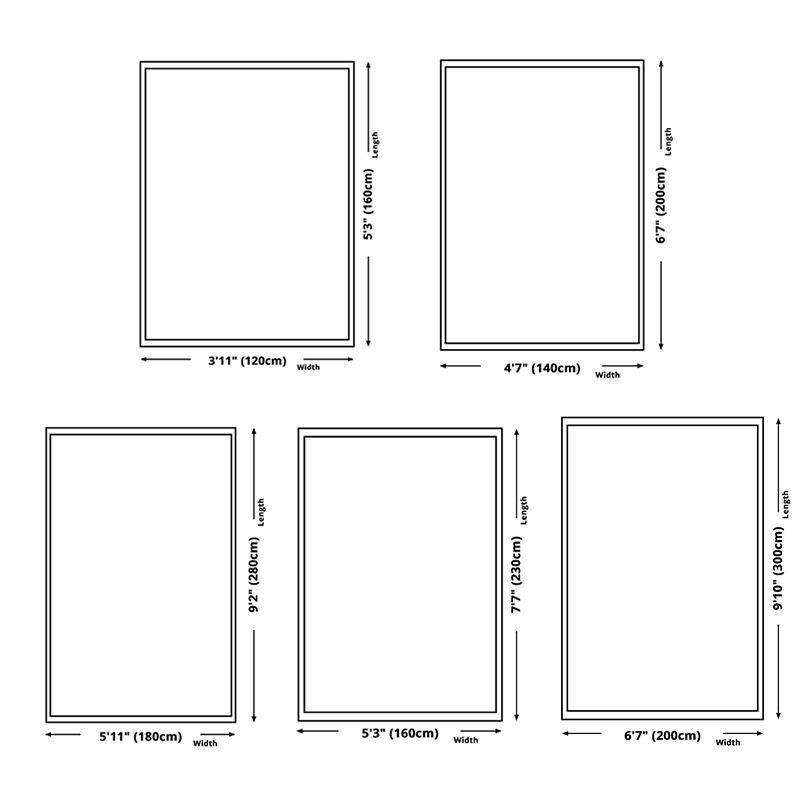 Contemporary Area Rug Polyester Graphic Carpet Stain Resistant Rug for Living Room