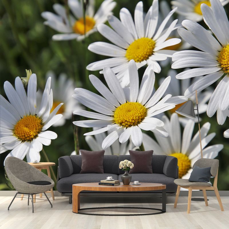 Chamomile Wall Murals Flower Modernist Sleeping Room Wall Decor, Moisture Resistant