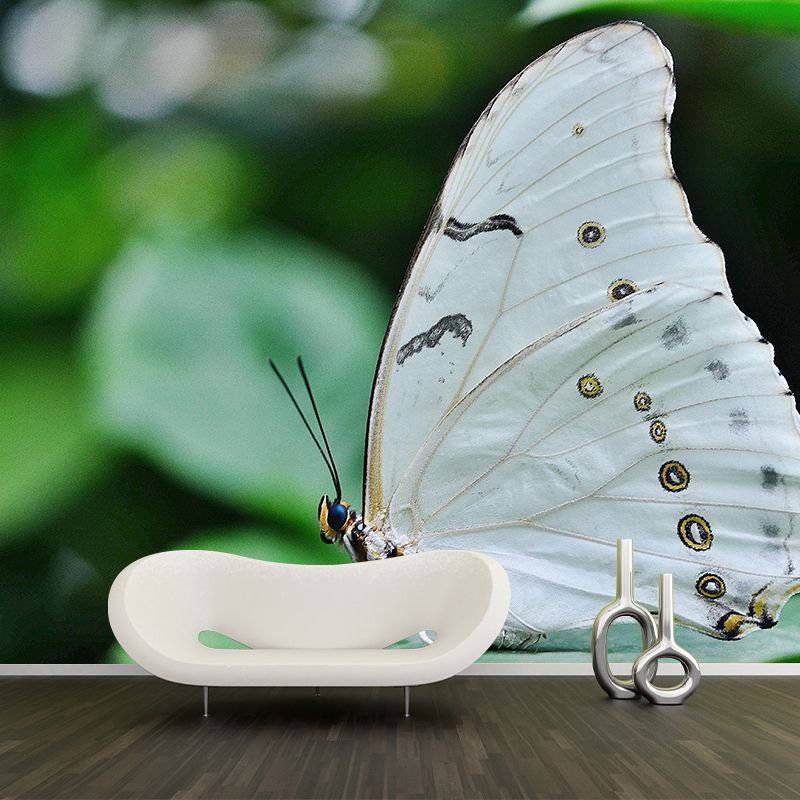 Customized Tropical Butterfly Mural Horizontal Photography for Sleeping Room Decoration