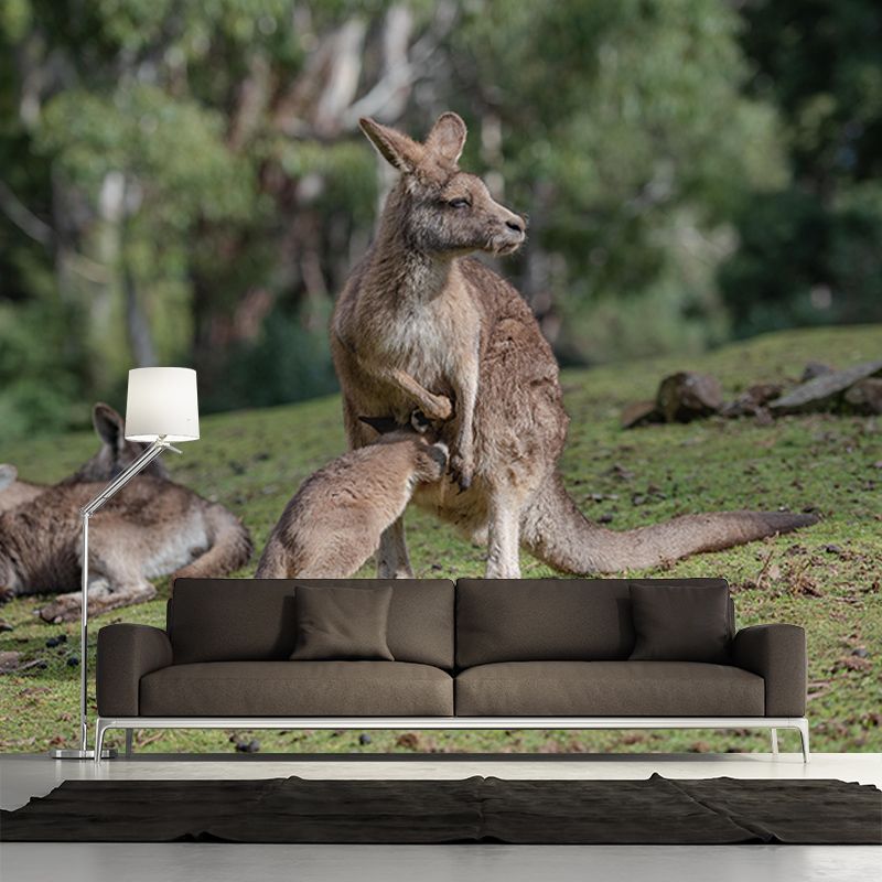 Customized Kangaroo Wall Mural Horizontal Photography for Sleeping Room Decoration