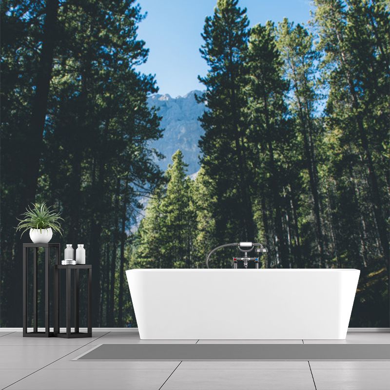 Green Roadside Pine Trees Mural Wallpaper Stain Resistant Wall Covering for Bedroom