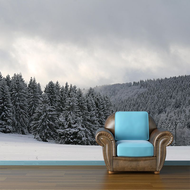 Beautiful Forest Mural Contemporary Photography Sleeping Room Wall Mural