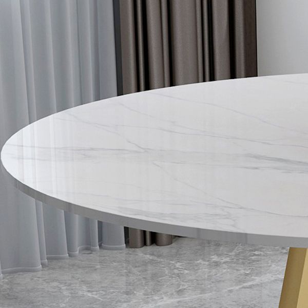 Contemporary Round Dining Table Sintered Stone Top Iron Pedestal Table