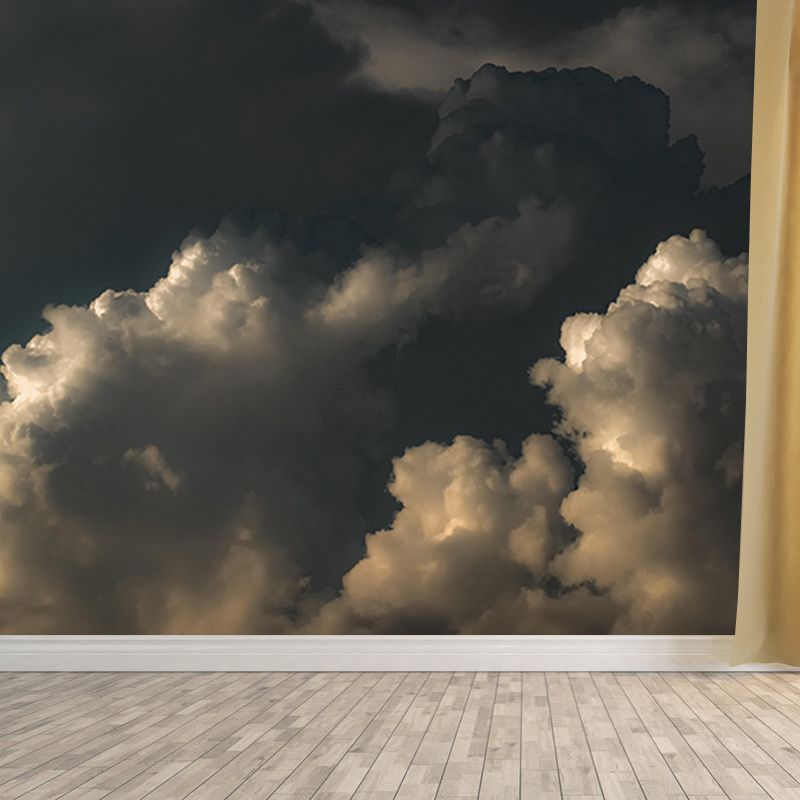 Living Room Contemporary Mildew Resistant Sky Mural Photography Wall Mural