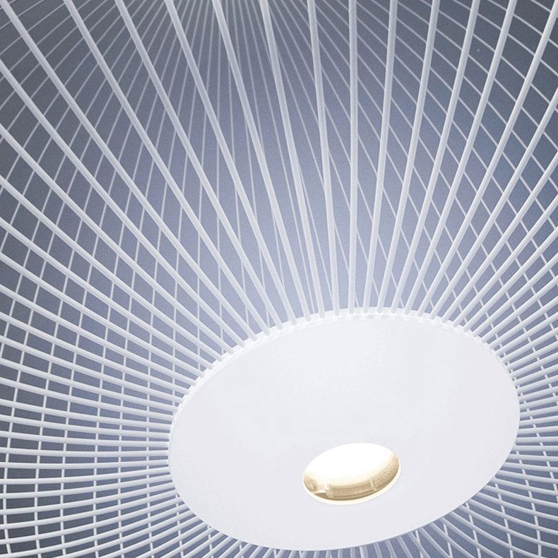 Simple Metal Hanging Light, Globe and Cage Shade 2-Light Hanging Lighting