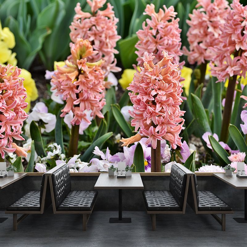 Beautiful Hyacinth Wall Mural Decal Colorful Mural Wallpaper for Girl Bedroom