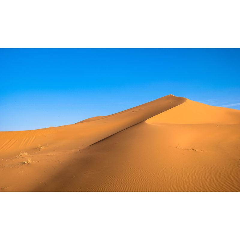 Contemporary Desert Wall Murals for Indoor Room, Moisture Resistant, Personalised Size