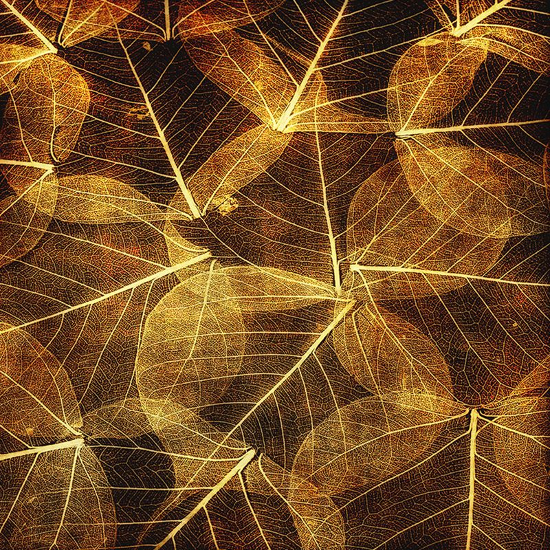 Tropical Plants Wall Mural Tropical Style Mildew Resistant Wall Covering