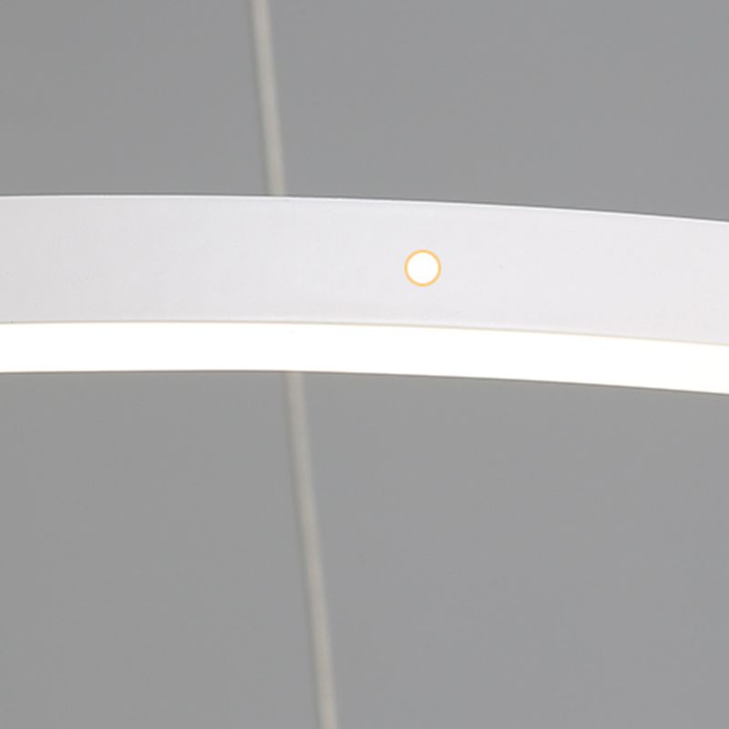 Circle Shade Metal Chandelier Lights Modern 2- Light Chandelier Lighting Fixtures