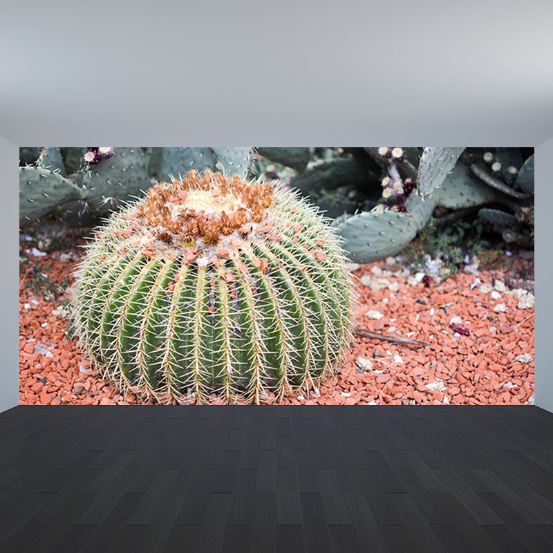 Tropical Cactus Mural Personalized Size Wall Covering for Sleeping Room
