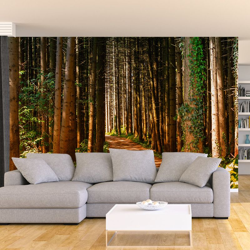 Photography Stain Resistant Wall Mural Forest Sitting Room Wallpaper