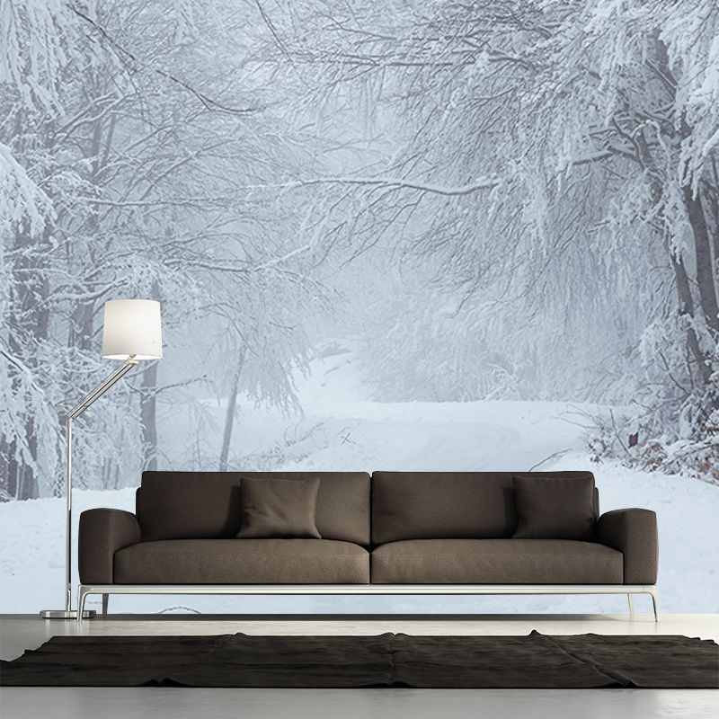 Forest Environmental Photography Mural Wallpaper Indoor Wall Mural