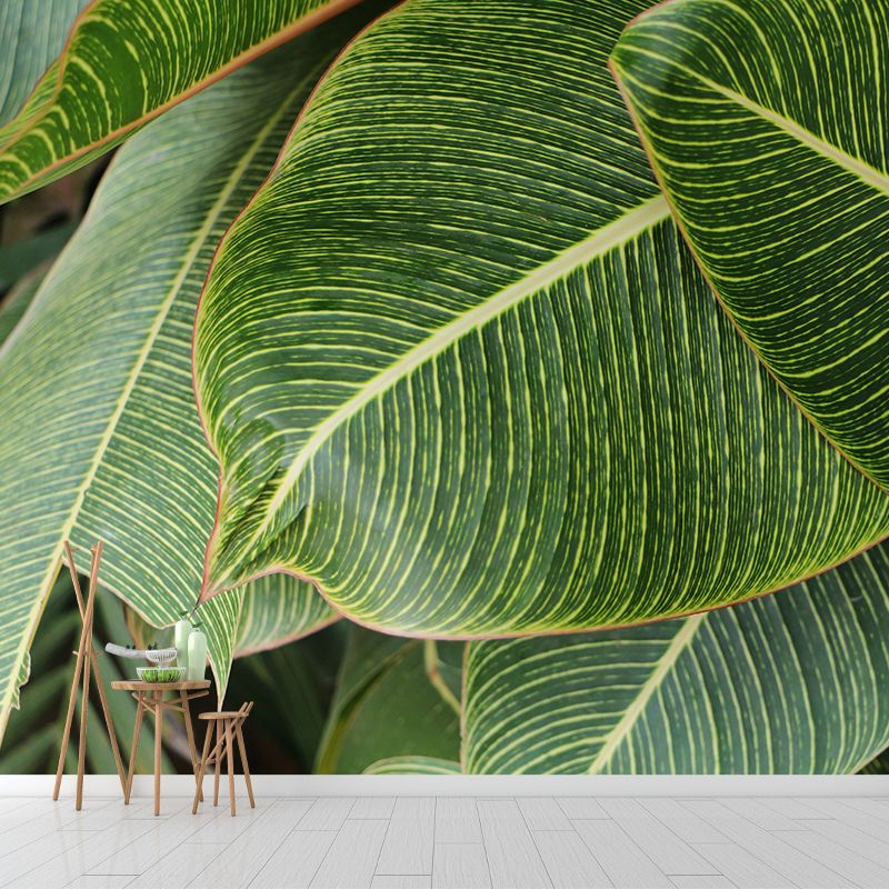 Tropical Leaves Mural Stain-Resistant Wall Decor for Guest Room, Personalized Size