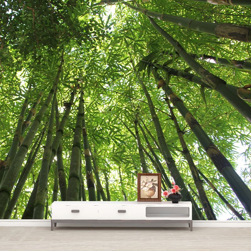 Green Bamboo Wall Mural Minimalist Decoration Stain Resistant for Sitting Room