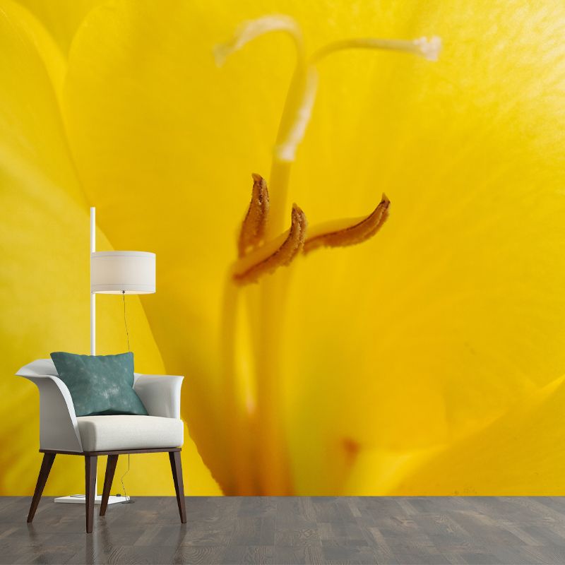 Gladiolus Wall Mural Decorative Mildew Resistant Home Decoration for Bedroom