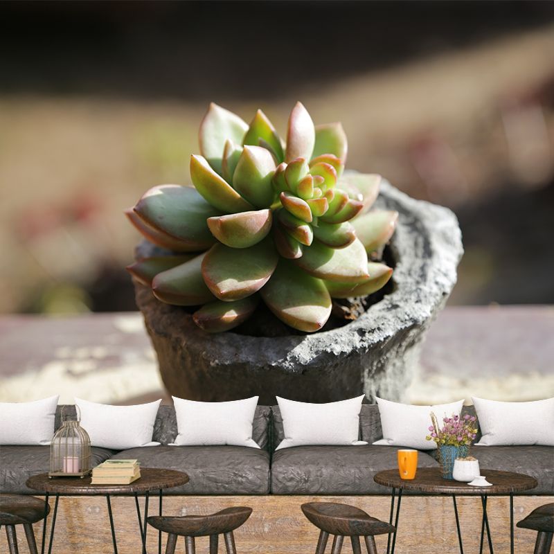 Vivid Plants Contemporary Wall Mural Moisture Resistant Decoration for Bedroom