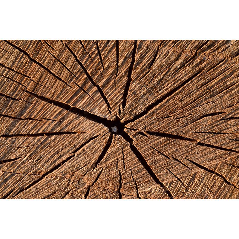 Wood Grain 3D Industrial Mural Wallpaper Mildew Resistant Decorative Wall Covering