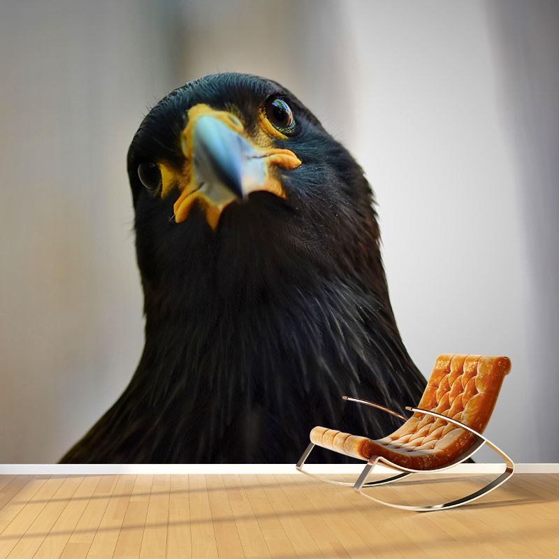 Customized Moisture Resistant Buzzard Mural Wallpaper Decal Environment Friendly Wall Decor