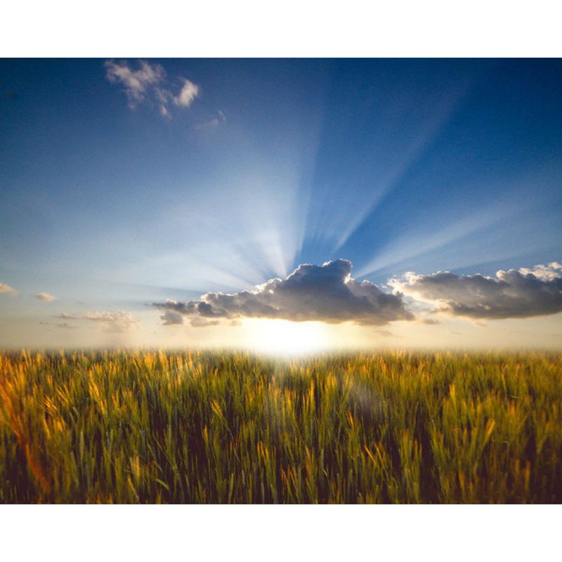 Stain-Proofing Sky View Wall Mural Non-Woven Cloth Contemporary Wall Art for Living Room