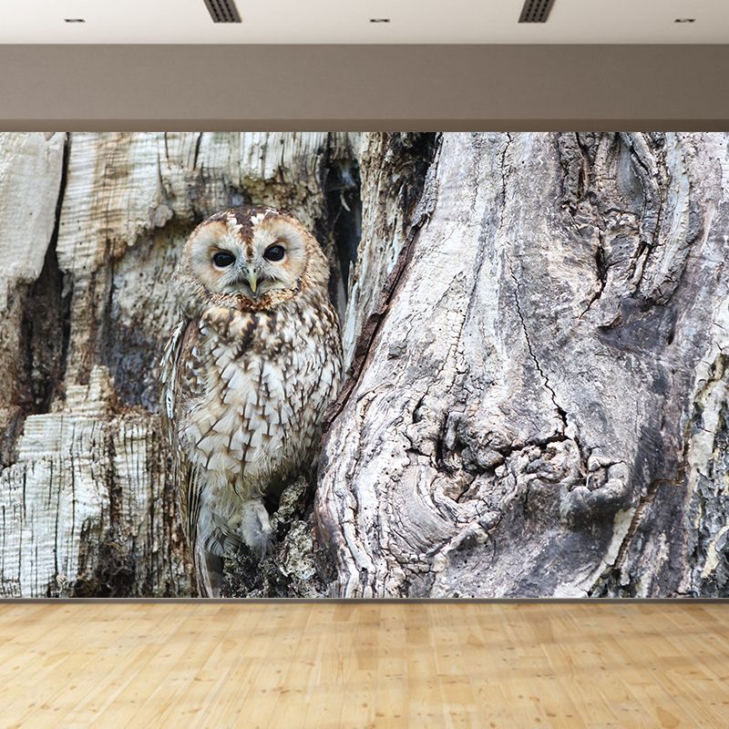 Eigentijdse stijl uil muurschildering zachte kleurenfotografie horizontale muur kunst voor woondecoratie