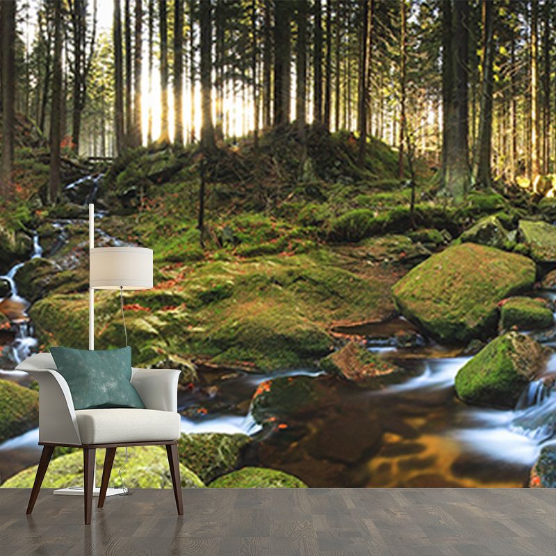 Tropical Forest Creek Wallpaper Mural in Green Living Room Wall Decor, Custom Size