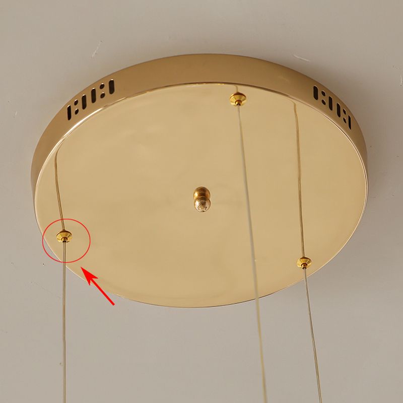 Simplicité moderne Crystal Hanging Living Room LED Round Shape Pendant lampe Paxage