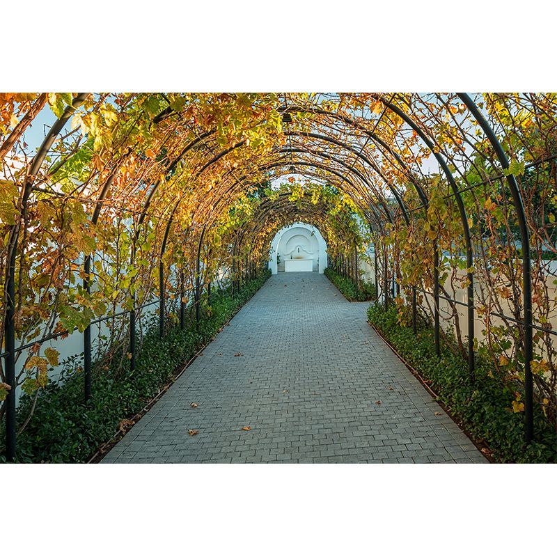 Customized Spatial Extension Mural Personalized Size Wall Covering for Room