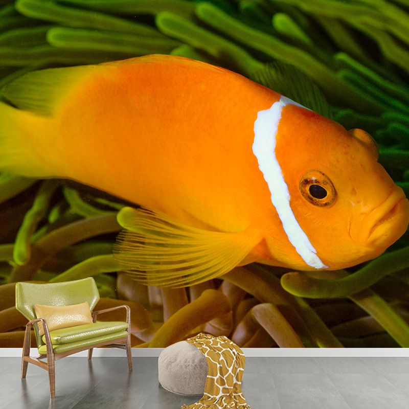 Underwater Mural Contemporary Photography Wall Covering for Home Decor