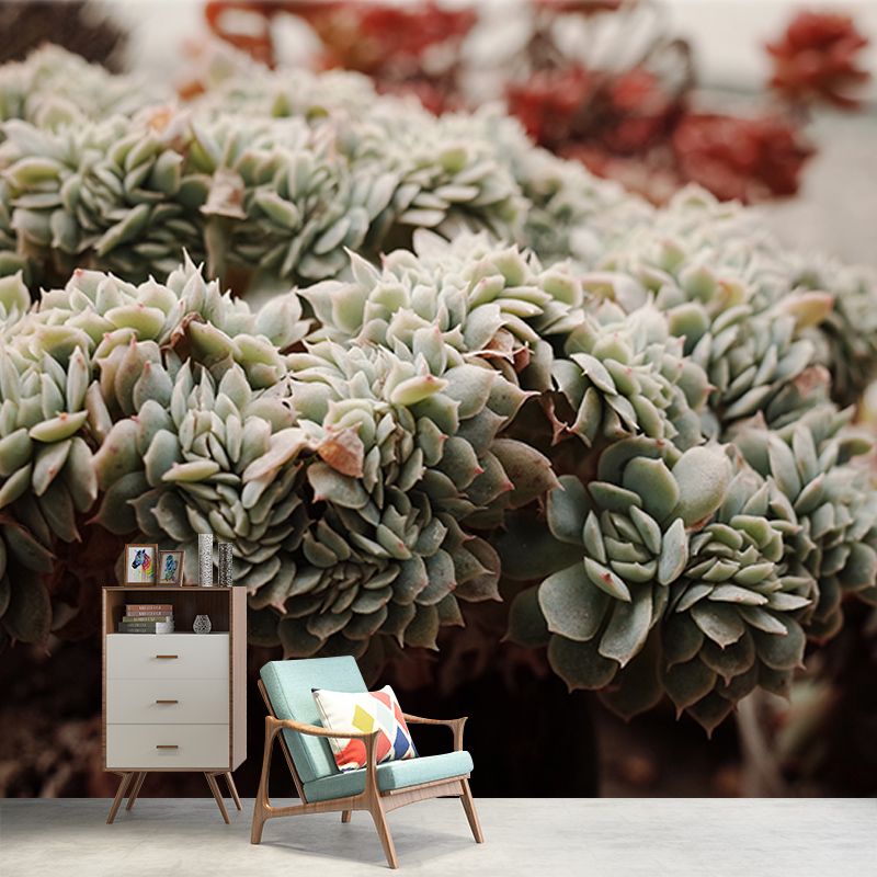 Modern Style Succulent Plant Mural Stain-Resistant Wall Decor for Guest Room