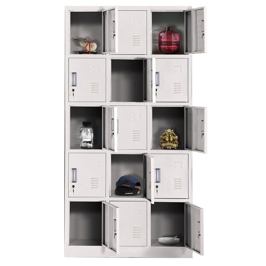 Hinged Door Storage Cabinet for Home Contemporary Metal Cabinet