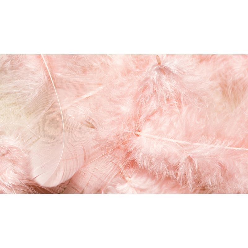 Light Color Feather Wall Mural Decal Moisture Resistant Modern Wall Covering