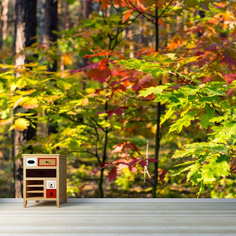 Forest Wall Paper Murals Moisture Resistant Wall Decor for Sleeping Room