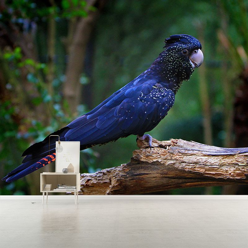 Parrot Animal Wall Mural for Living Room Bedroom Wall Art, Stain-Resistant