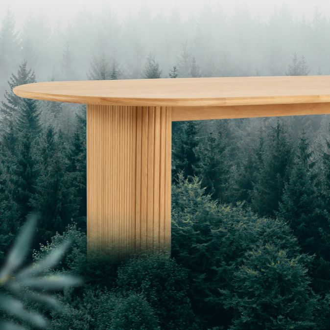 Ovaal vaste dennenhoutbruine toon eettafel eenvoud dubbele voetstuktafel voor eetkamer