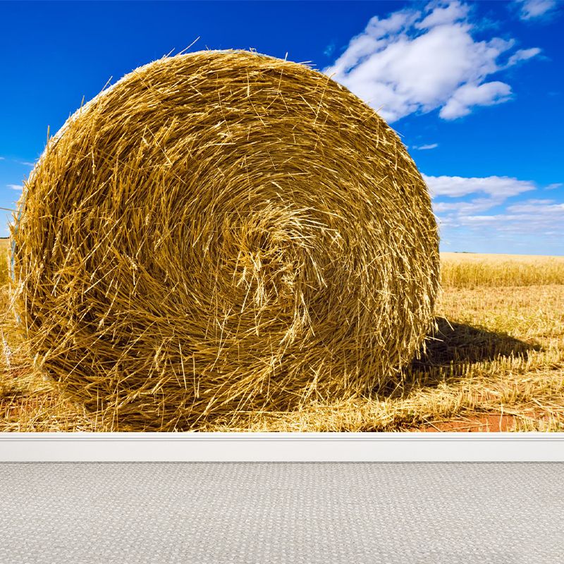 Moisture Resistant Hay Roll Mural Personalized Modern Wall Covering for House Interior