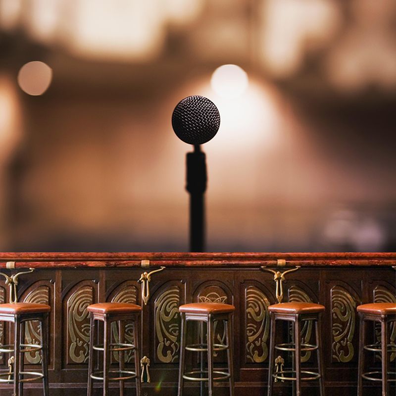 Hobby Sing Songs Mural Wallpaper Water Resistant Environment Friendly Wall Decor